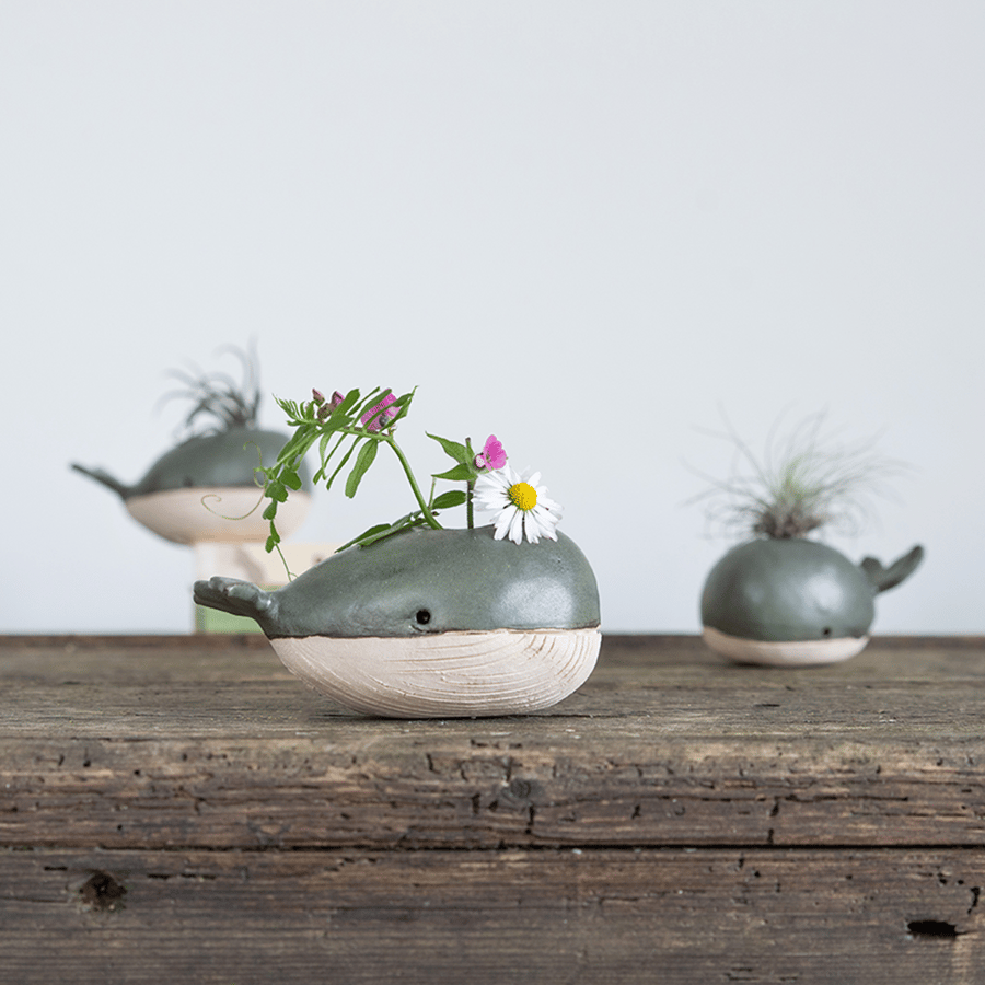Whale Vase Air Plant Holder, Mini Flower Vase