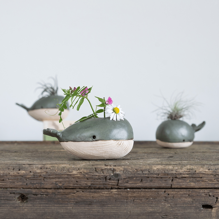 Whale Vase Air Plant Holder, Mini Flower Vase