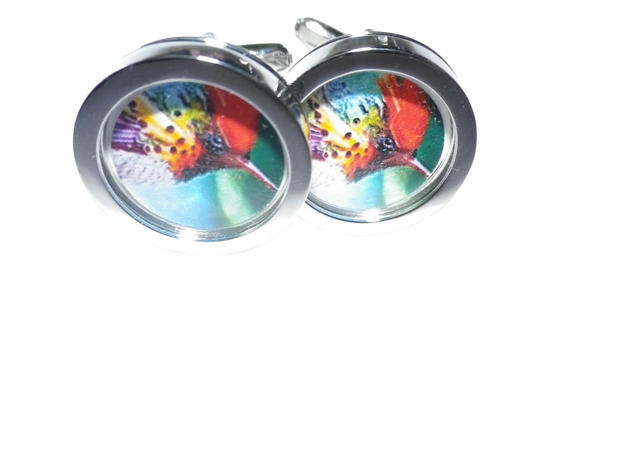Red  Crest songbird cufflinks, free shipping, gift wrapped, lovely imageRef 6115
