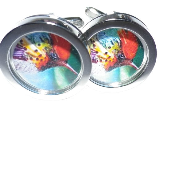 Red  Crest songbird cufflinks, presentation box, gift wrapp, free ship Ref 6115