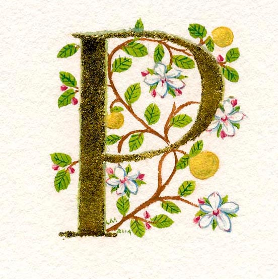 23c gold letter 'P' with apple blossom and apples Special Birthday gift