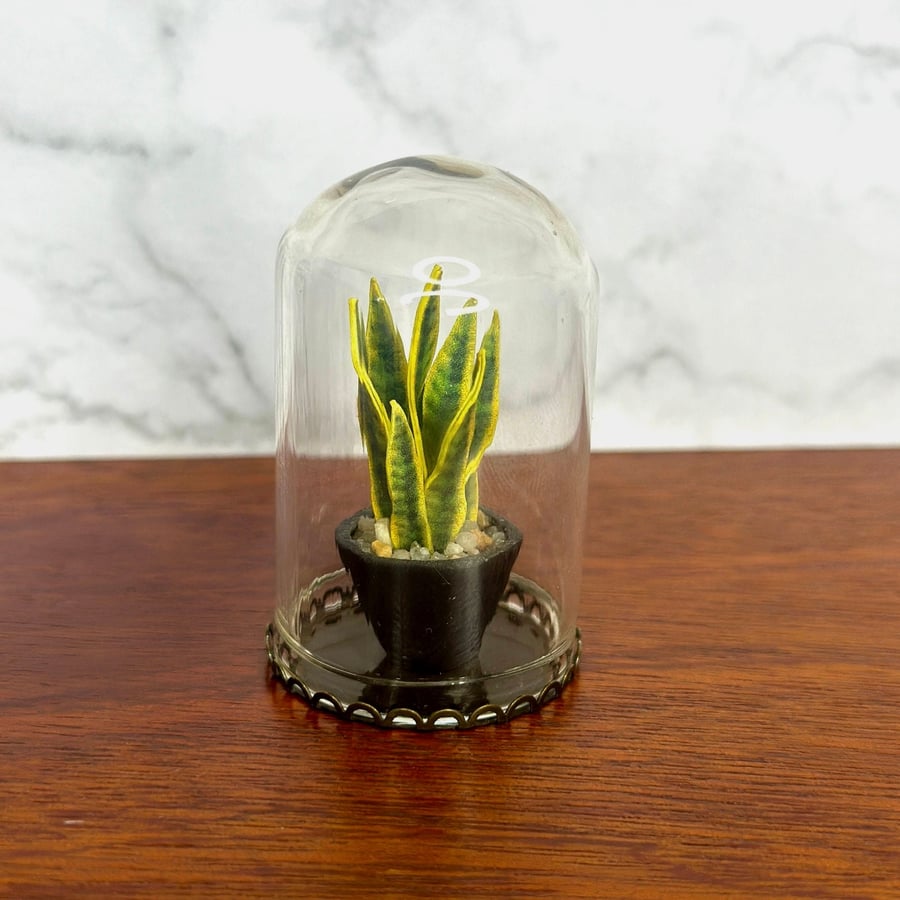 Handmade Miniature Snake Plant in a bell jar, 1:12 Dollhouse plant 