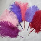Regency-Inspired Ostrich Feather Plume Hair Piece – Elegant Decorative Accessory