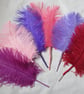 Regency-Inspired Ostrich Feather Plume Hair Piece – Elegant Decorative Accessory