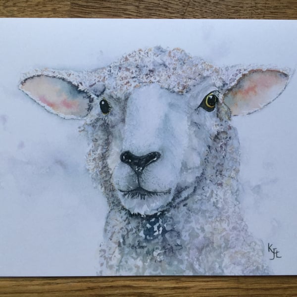  A5 blank card from original watercolour  of Samphire Sheep. 