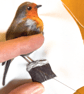 Robin, 3D fabric robin picture framed, gift, robin ornament - Image 4