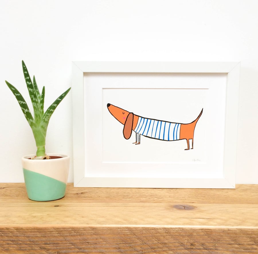 Breton Sausage Dog Framed Print
