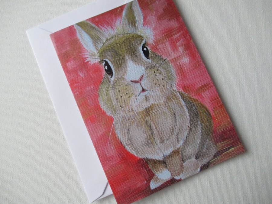 Bunny Rabbit Blank Greetings Card Lionhead Bunny Picture