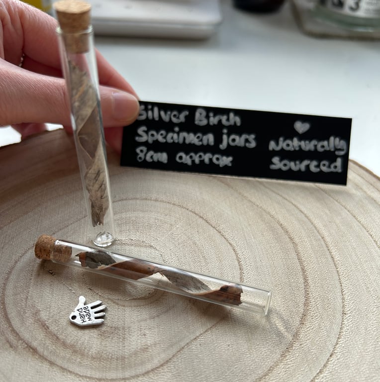 Silver Birch Curio Jar 