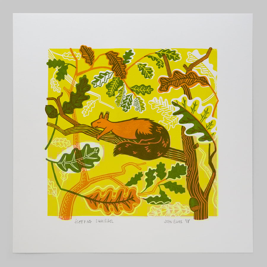 Sleeping Squirrel hand pulled screen print