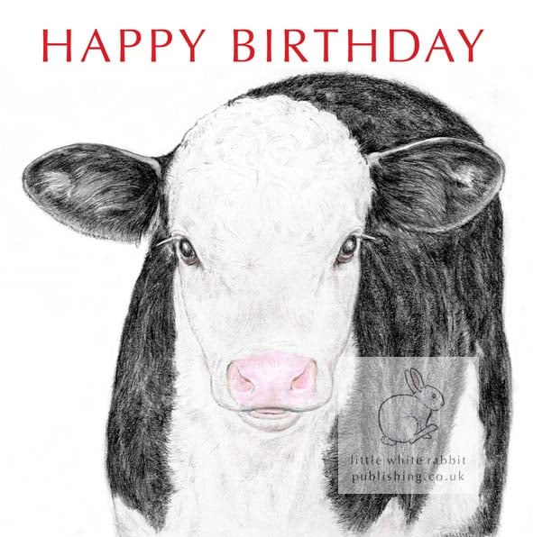 Black & White Calf - Birthday Card