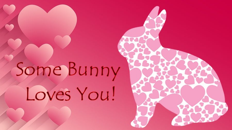 A5 Valentines Card Some Bunny Loves You