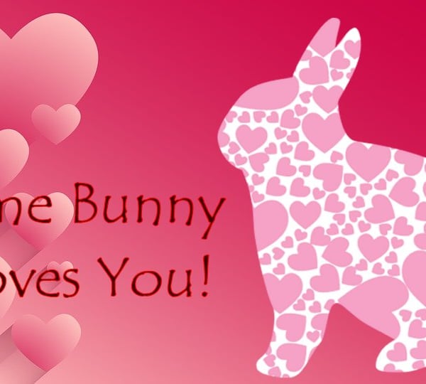 A5 Valentines Card Some Bunny Loves You