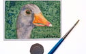 ACEO - Miniature Paintings