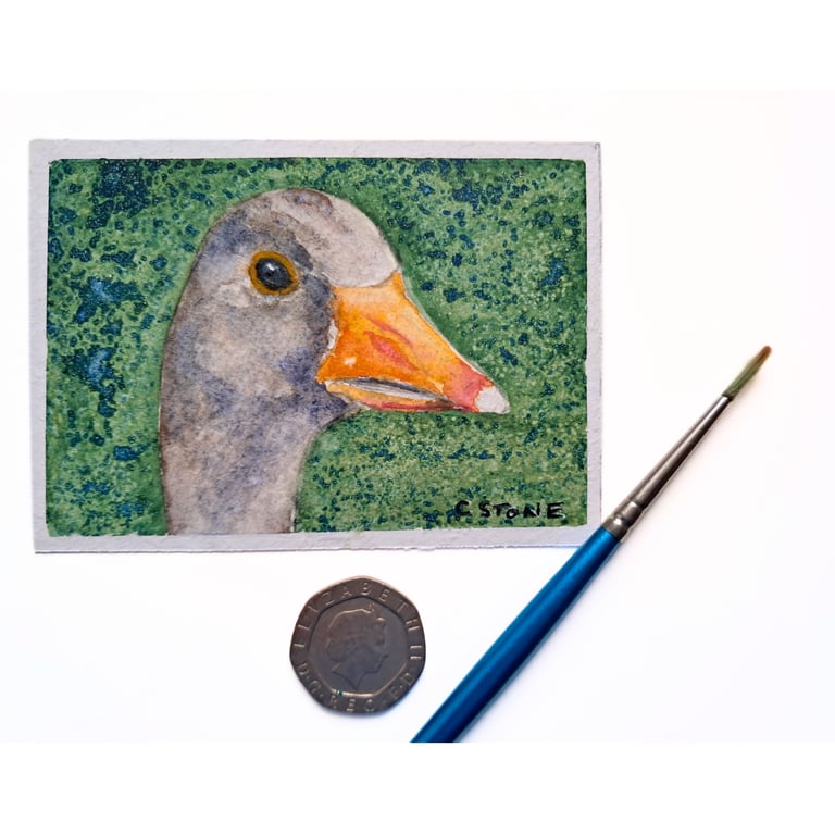 Original ACEO Watercolour, Goose Head, Miniature Painting