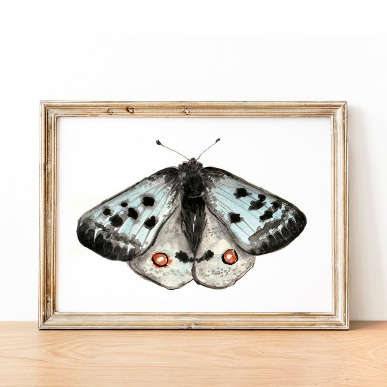 Apollo A5 Inkjet Print