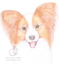 Charlotte the Papillon - Blank Card - Image 1