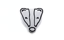 Badgers and foxes