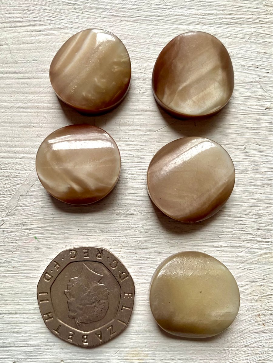 5  buttons with tunnel shank