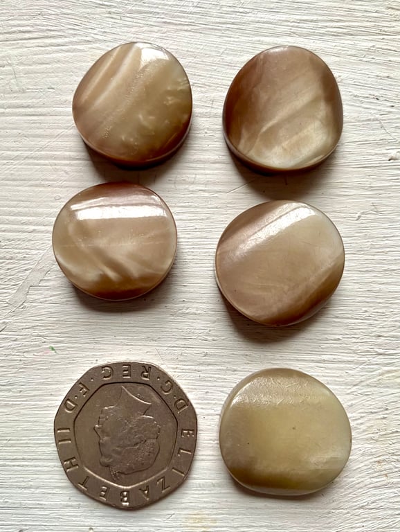 5  buttons with tunnel shank