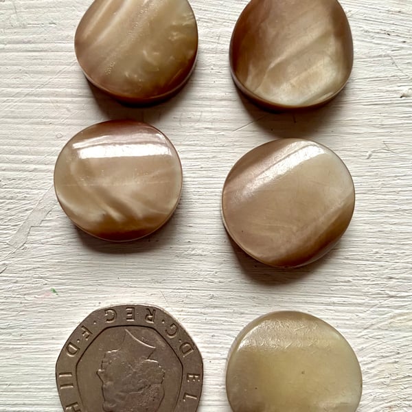 5  buttons with tunnel shank