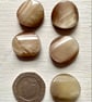 5  buttons with tunnel shank - Image 1