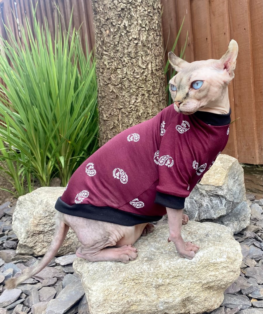 Sphynx cat clothes,MEDIUM long sleeve sphynx cat jumper, sphynx clothes