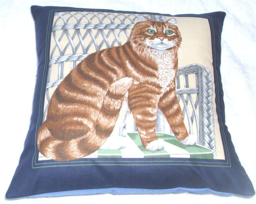 Lovely ginger Tabby cat sitting on a wickerwork chair cushion