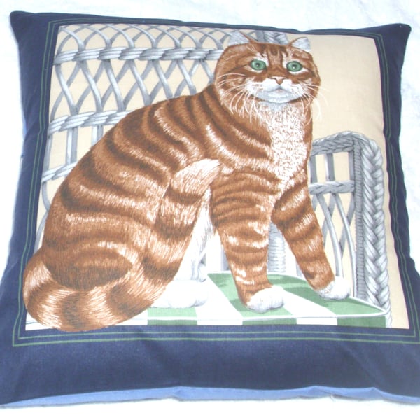 Lovely ginger Tabby cat sitting on a wickerwork chair cushion