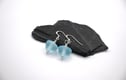 Earrings - Glass