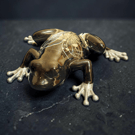 Silver Veil Frog Ornament