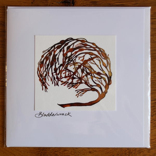 Bladderwrack Card