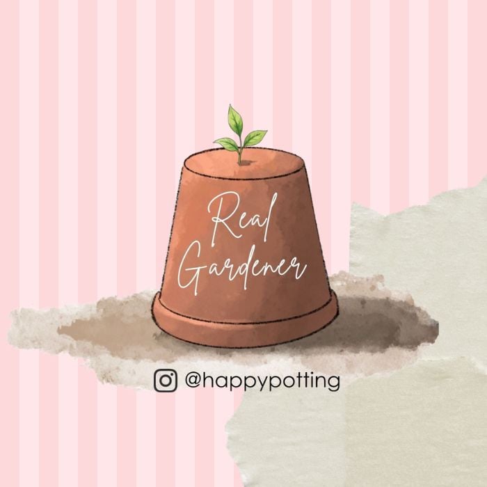 Happypotting