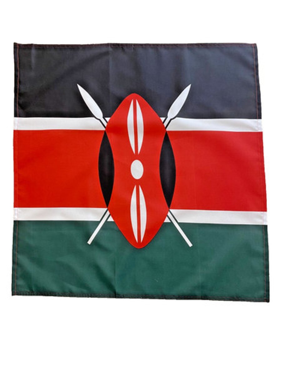 23" x 23" 59 x 59 cm Kenya Kenyan Flag Bandana Head Scarf Neck Tie