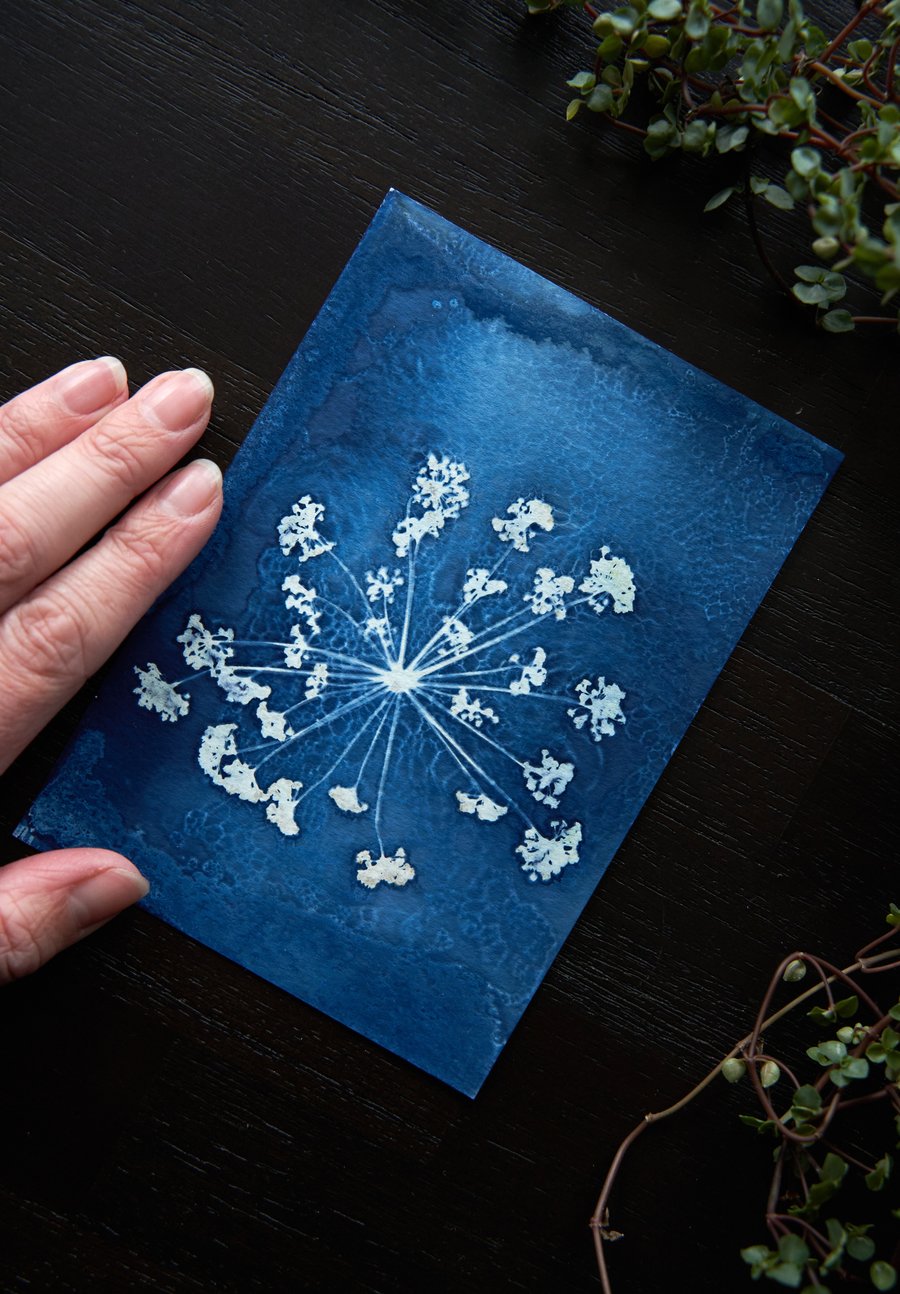 Mini handmade original wet cyanotype size A6 or 4.1x5.8 inches fennel 1