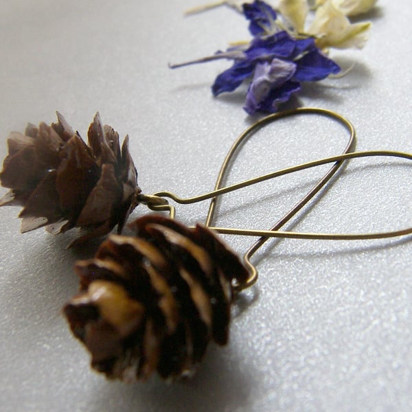 Real Miniature Pine Cone Earrings 