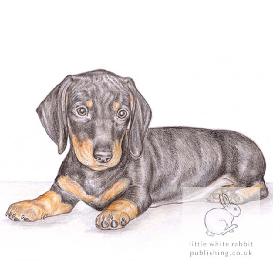 Henry the Dachshund - Blank Card
