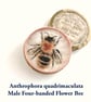 Postcard collection from the Fifty Bees exhibition - Image 3