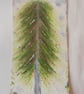The Winter Tree - Image 2