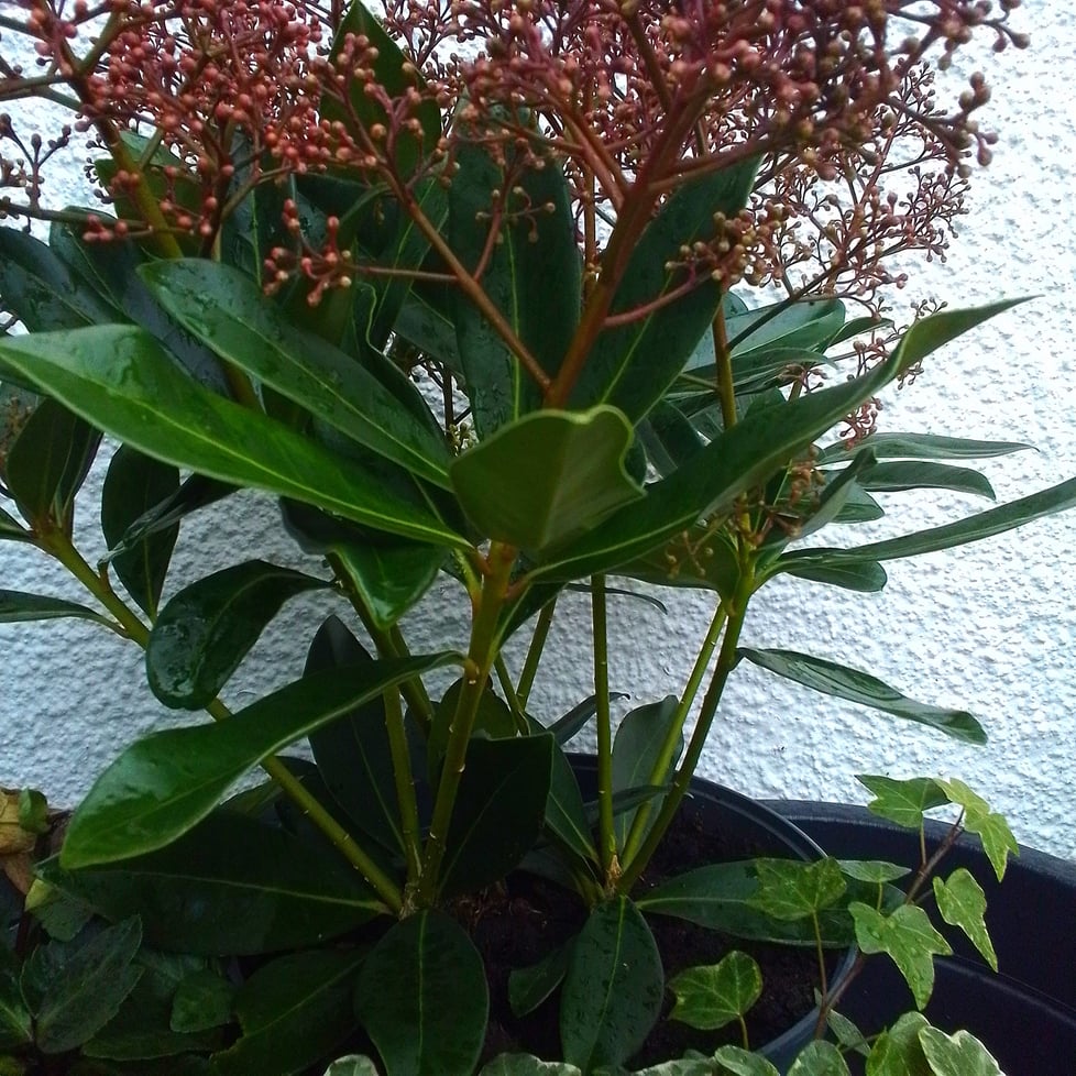 Breeze and Berry Textile Art