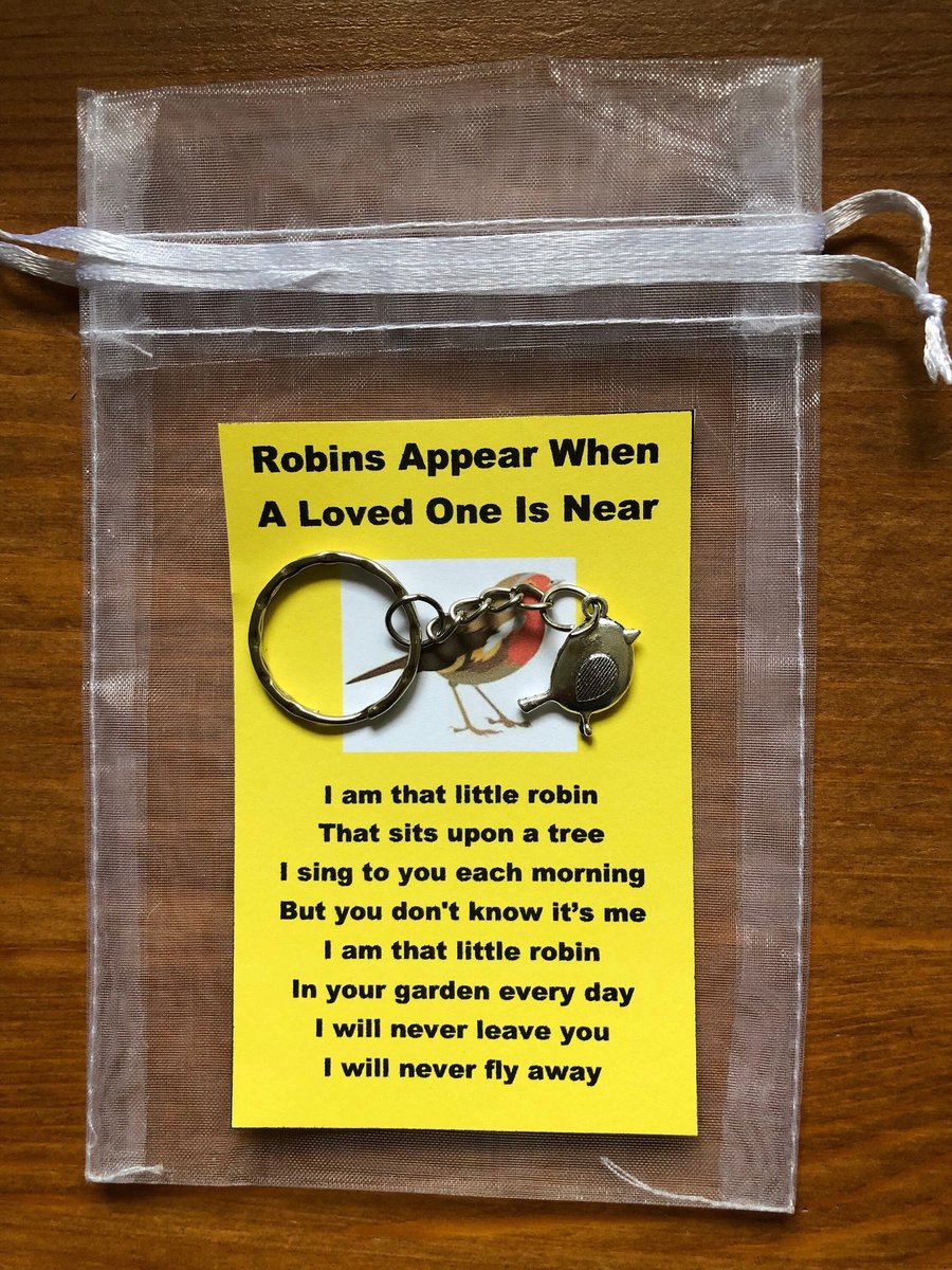 Robin In Your Pocket Keyring Robins Appear When A Loved One Is NearRobins Appear