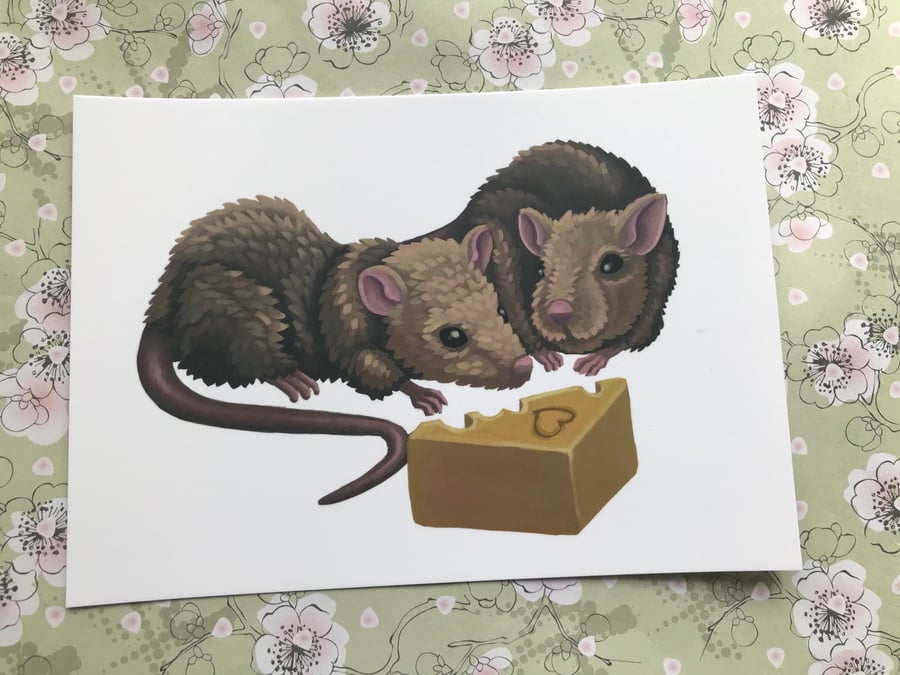 Rats Post Card