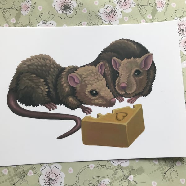 Rats Post Card