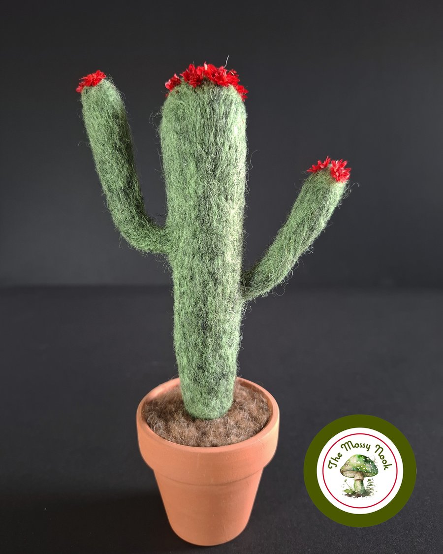 Handmade Flowering Cactus. Needle Felted with Wool Fibres. Real Terracotta Pot.