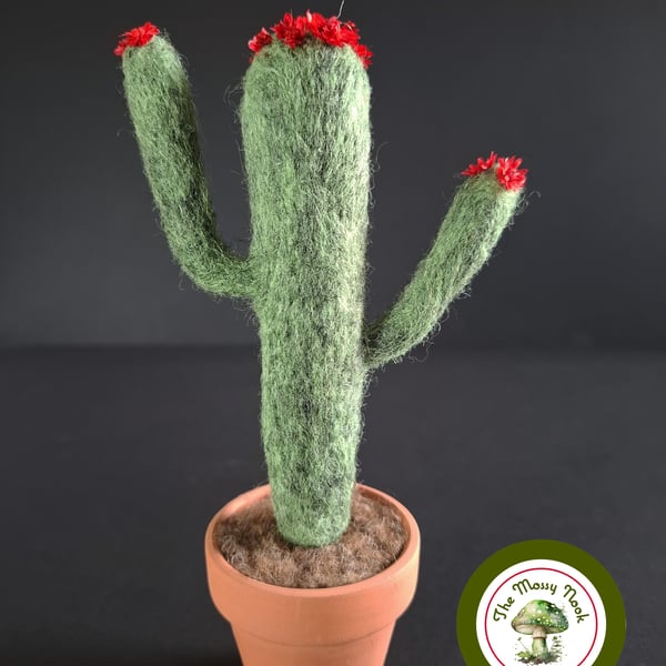 Handmade Flowering Cactus. Needle Felted with Wool Fibres. Real Terracotta Pot.