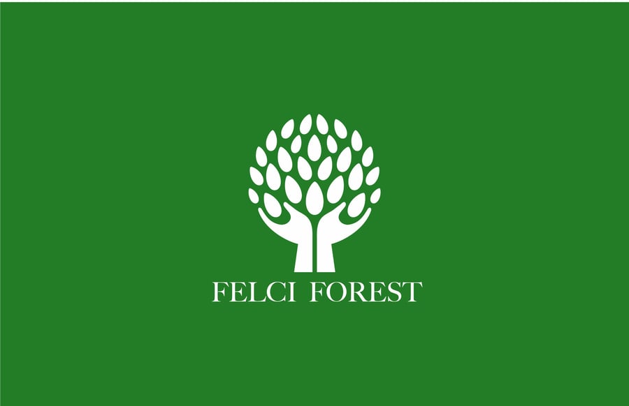 Felci Forest