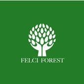 Felci Forest