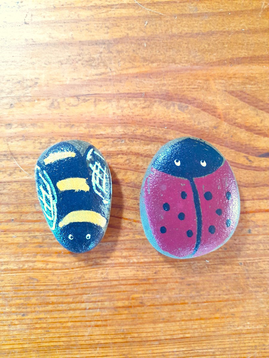 Bumble bee & Ladybird