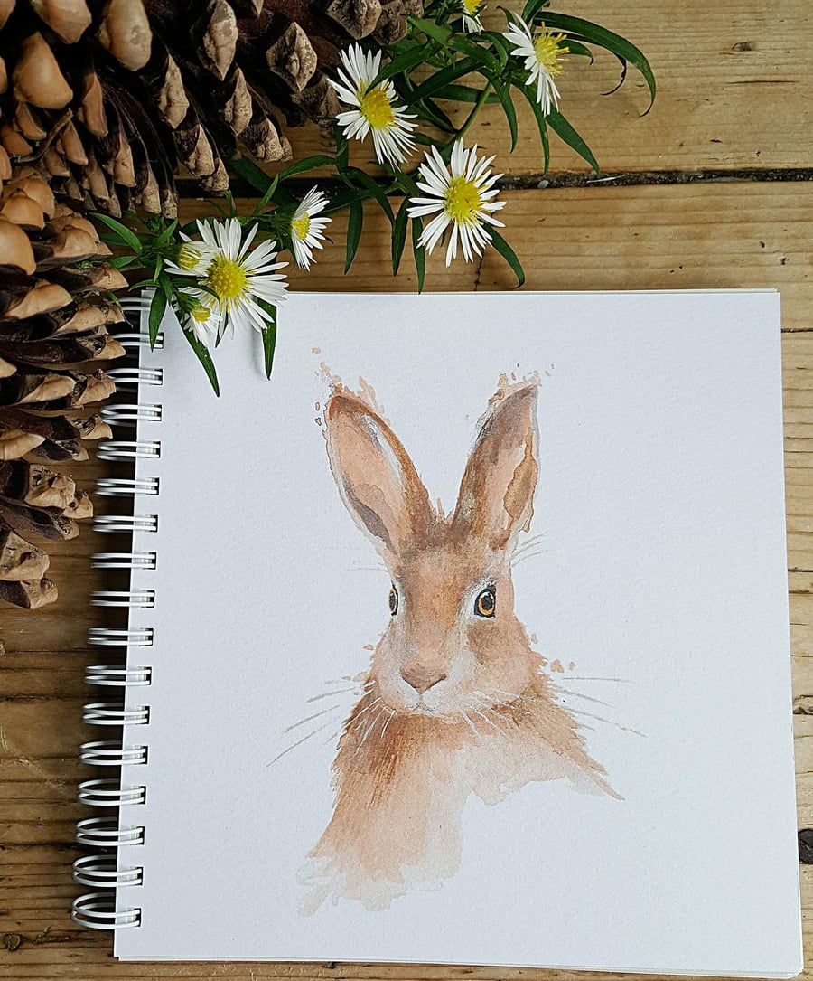 Hare notebook