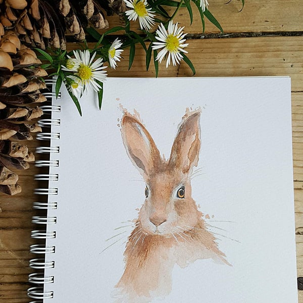 Hare notebook